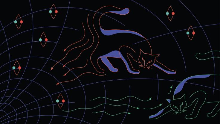 Illustration of cats representing correlated information inside and outside of a black hole